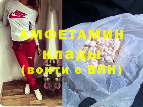 ГАЛЛЮЦИНОГЕННЫЕ ГРИБЫ Бородино