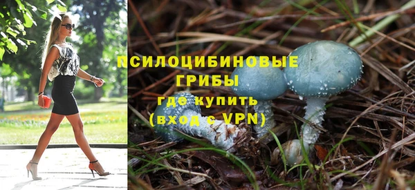 ешки Бугульма