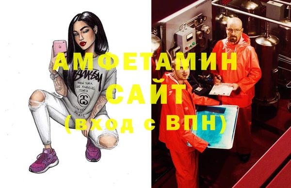 ГАЛЛЮЦИНОГЕННЫЕ ГРИБЫ Бородино