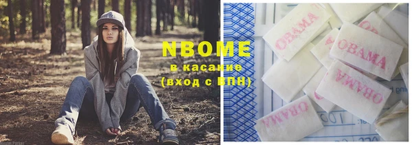 ГАЛЛЮЦИНОГЕННЫЕ ГРИБЫ Бородино