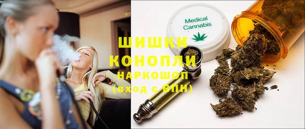 ГАЛЛЮЦИНОГЕННЫЕ ГРИБЫ Бородино